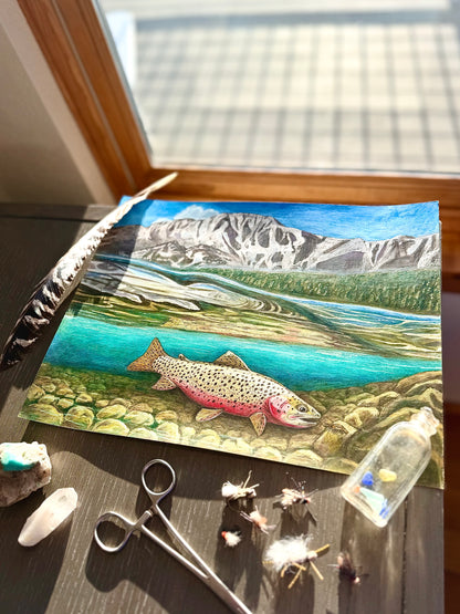 Swimming with Alpine Cutthroat