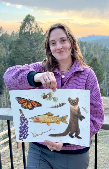 Encounters in the High Country