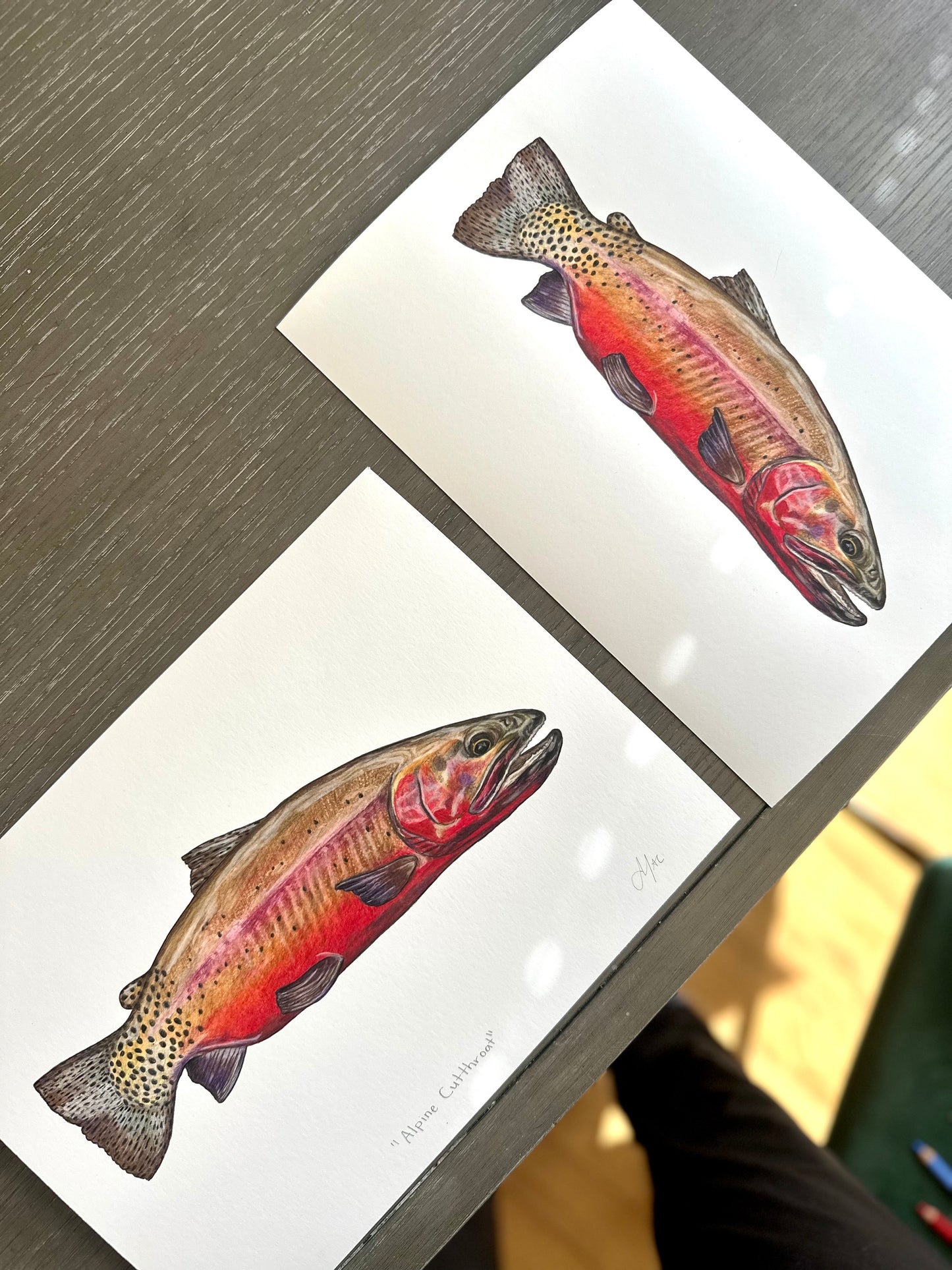 Crimson Red Cutthroat
